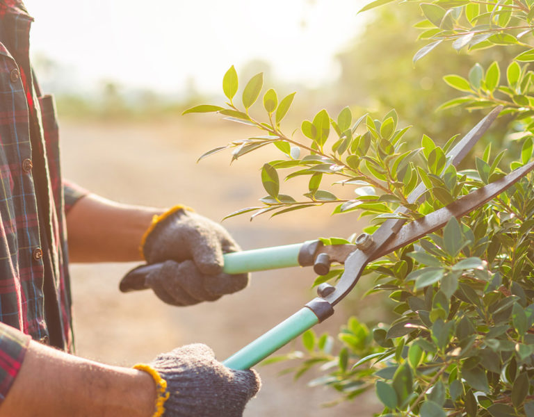 Hausmeisterservice – Akurat Facility Management